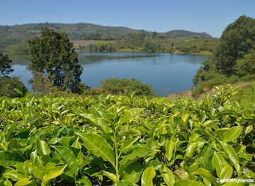 zimbabwe/eastern-highlands/attraction/wamba-dam