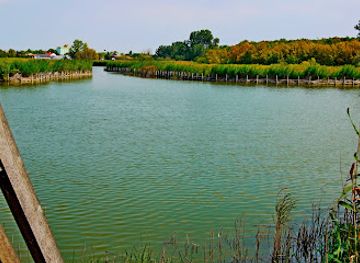hungary/szekesfehervar/attraction/salt-lake-nature-trail