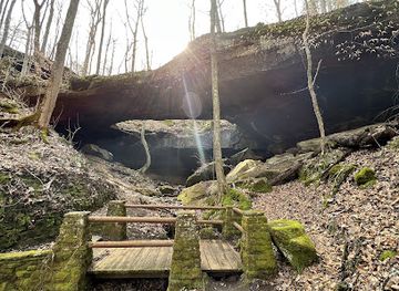 alabama/bankhead-national-forest/attraction/natural-bridge-picnic-area
