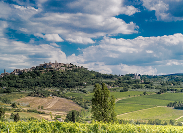 italy/montepulciano/attraction/icario-winery
