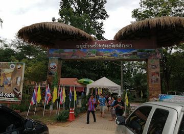 thailand/northeastern-thailand-isan/attraction/ban-taklang-elephant-village