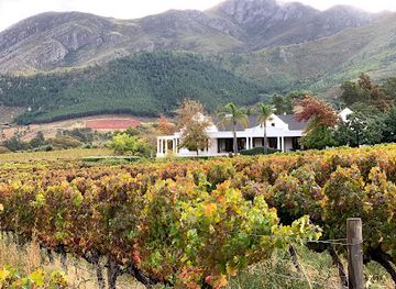 south-africa/cape-winelands/attraction/black-elephant-vintners