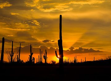 arizona/pima-county/attraction/southern-arizona-heritage-visitor-center
