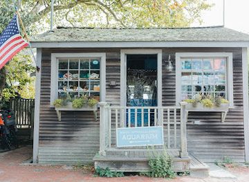 massachusetts/nantucket/attraction/maria-mitchell-aquarium