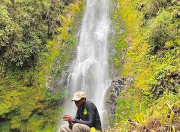 kenya/mount-kenya-region/attraction/kathandeini-forest
