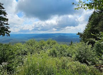 west-virginia/spruce-knob/attraction/gaudineer-scenic-area
