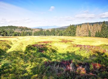 germany/bavarian-forest-national-park/attraction/hochschachten