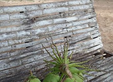 malaysia/sandakan/attraction/lokasi-perkhemahan