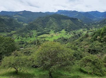 colombia/los-nevados-national-natural-park/attraction/mirador-de-salento