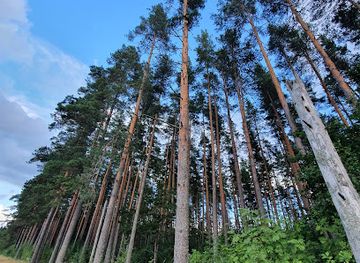 sweden/vastmanland/attraction/kulanbestandet