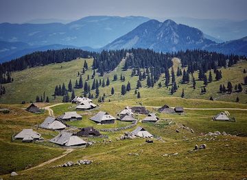 slovenia/savinja/attraction/velika-planina-zimski-park
