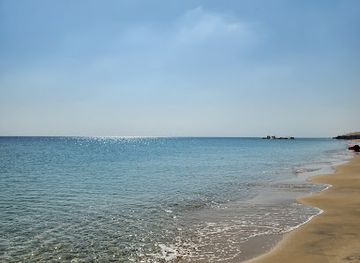 qatar/sealine-beach-resort/attraction/al-rahal-sealine-beach