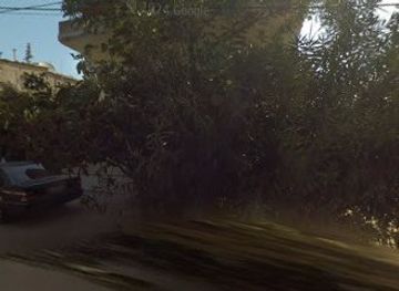 lebanon/cedars-of-god/attraction/tall