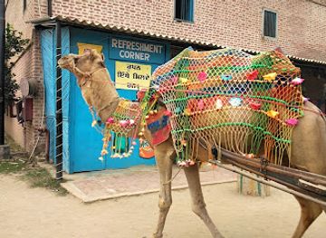 india/amritsar/wagah-border/attraction/sadda-pind-amritsar