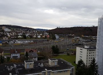 switzerland/aargau/attraction/stiftung-bahnpark-region-brugg