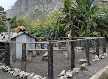 south-africa/overberg/attraction/rocklands-petting-farm