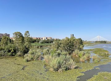 spain/badajoz/attraction/puente-real
