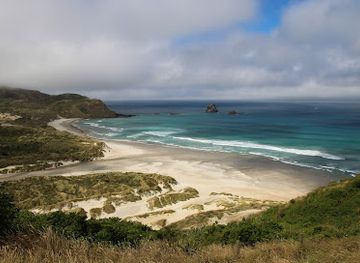 new-zealand/dunedin/attraction/sandfly-bay
