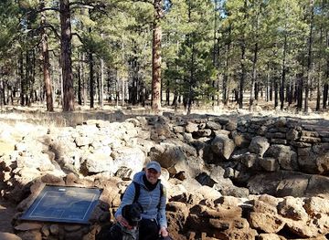 arizona/flagstaff/attraction/lava-river-cave
