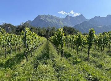 liechtenstein/gamprin/attraction/wine-tours-switzerland