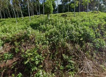 sri-lanka/ratnapura/attraction/malankanda-dola