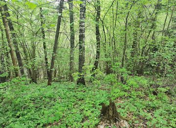 lithuania/aukstaitija-national-park/attraction/paragiskes-piliakalnis