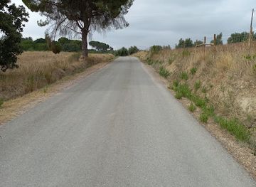 portugal/tomar/attraction/vale-da-nora