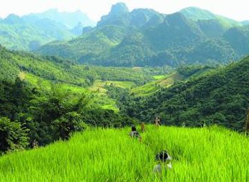 laos/luang-prabang/attraction/join-in-tours-luang-prabang