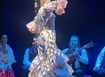 spain/sierra-nevada/attraction/teatro-flamenco-granada