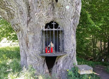 luxembourg/mullerthal/attraction/maria-old-oak