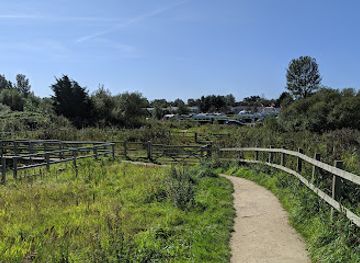 united-kingdom/blackpool/attraction/marton-mere-local-nature-reserve