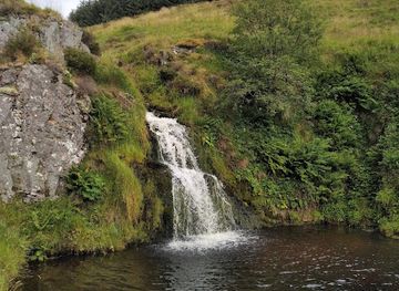united-kingdom/roxburghshire/attraction/davidson-s-linn