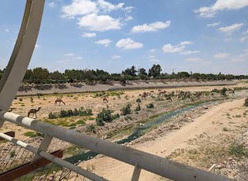 israel/beersheba/attraction/gesher-hatzinorot