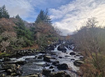 ireland/killarney-national-park/attraction/idukki-waterfalls