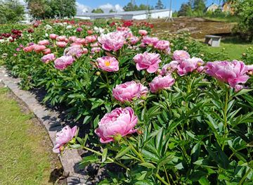 finland/kymenlaakso/attraction/peony-park