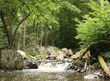new-jersey/great-swamp-national-wildlife-refuge/attraction/hacklebarney-state-park