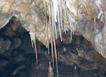 romania/bihor-mountains/attraction/pestera-cu-aluviuni