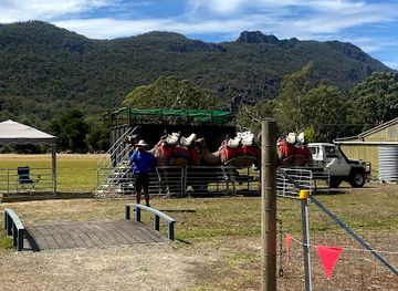 australia/grampians/attraction/grampians-camel-rides