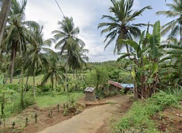 sri-lanka/pinnawala-elephant-orphanage/attraction/moragahalanda