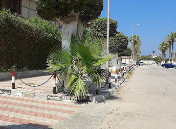 egypt/port-said/attraction/villa-mosalsal-layali-oujini