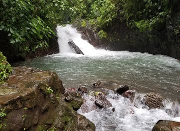 costa-rica/manuel-antonio-national-park/attraction/rainmaker