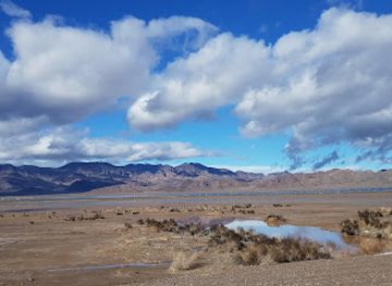 california/colorado-desert/attraction/big-bend-of-the-colorado-state-recreation-area