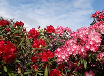 denmark/gedser-odde/attraction/gedser-rhododendron-arboret