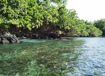 vanuatu/sola/attraction/woiwoinaplal-conservation-park