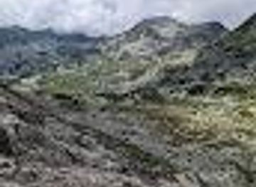 romania/targu-jiu/attraction/poiana-pelegii