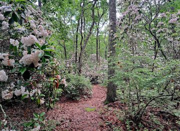 rhode-island/arcadia-management-area/attraction/charlestown-moraine-preserve