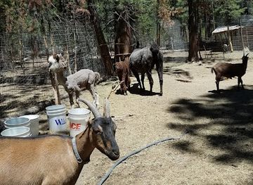 oregon/cascade-lakes-scenic-byway/attraction/last-minute-ranch