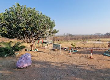 botswana/chobe-district/attraction/pyrus-eagles-helicopter-safari-tours