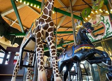 tennessee/johnson-city/attraction/kingsport-carousel-park