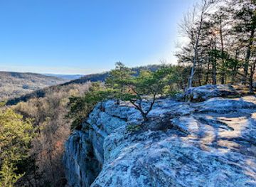 tennessee/cumberland-plateau/attraction/bee-rock-overlook